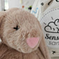 Sunny Bunny 2Kg