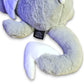 Fearless the Weighted Dragon 2.2kg