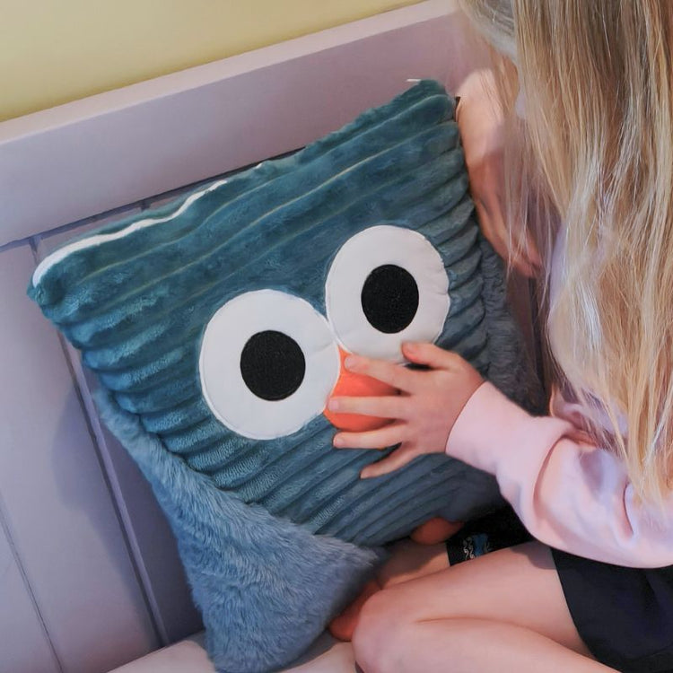 Child holding a plush toy next to a pillow with eye design