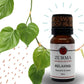 A brown bottle of Zurma essential oil blend labeled &