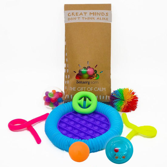 Fidget Toy Kit- Loot Bag