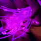 Fibre Optic Sensory Light Curtain (bluetooth)