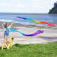 A person standing on a grassy area by the beach is holding up a long, colorful silk ribbon that is swirling in the wind.