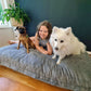 Sensory Crash Pads